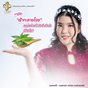 มารู้จัก ฟ้าทะลายโจร กับหมอกระติ๊บ-AseanBeautyClinic